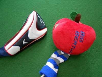 http://www.golfpartner.co.jp/165/DSCN0004.JPG