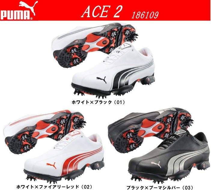 http://www.golfpartner.co.jp/190/%E3%81%88%E3%83%BC%E3%81%99%EF%BC%92.bmp