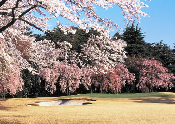 http://www.golfpartner.co.jp/190/%EF%BC%B3%E3%81%8F%E3%82%89.bmp