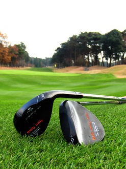 http://www.golfpartner.co.jp/190/01.jpg