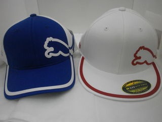 http://www.golfpartner.co.jp/190/0228012.JPG