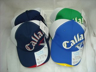 http://www.golfpartner.co.jp/190/05040008.jpg