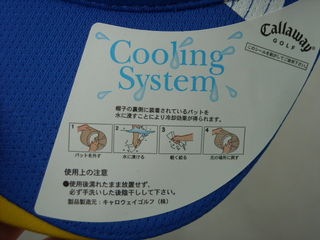 http://www.golfpartner.co.jp/190/0504009.jpg