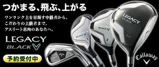 http://www.golfpartner.co.jp/190/2011081902.jpg