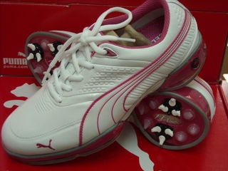 http://www.golfpartner.co.jp/190/DSCN0101059.jpg