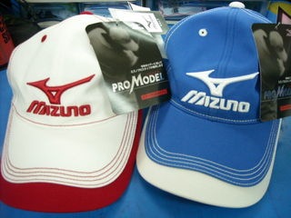 http://www.golfpartner.co.jp/190/DSCN8341.jpg