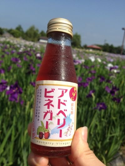 http://www.golfpartner.co.jp/190/IMG_0666.JPG