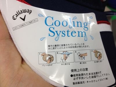 http://www.golfpartner.co.jp/190/IMG_0694.jpg