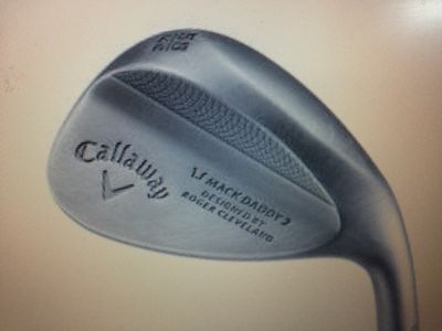 http://www.golfpartner.co.jp/190/IMG_2864.jpg