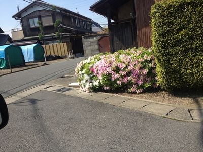 http://www.golfpartner.co.jp/190/IMG_2876.jpg