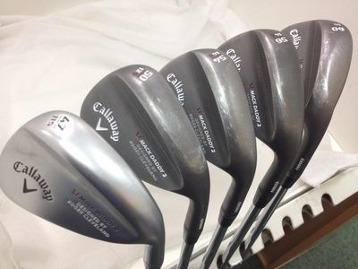 http://www.golfpartner.co.jp/190/IMG_4985.jpg