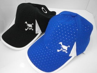 http://www.golfpartner.co.jp/190/P4090001.JPG