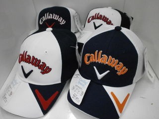 http://www.golfpartner.co.jp/190/P7030001.JPG