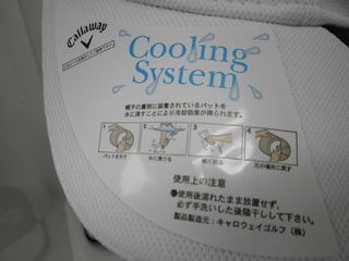 http://www.golfpartner.co.jp/190/P7030002.JPG