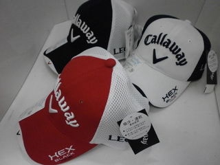 http://www.golfpartner.co.jp/190/P7030003.JPG