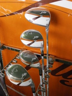 http://www.golfpartner.co.jp/190/P9060001.JPG