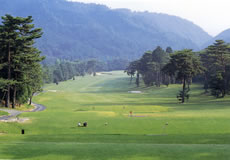 http://www.golfpartner.co.jp/190/photo1%5B1%5D.jpg