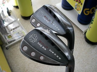 http://www.golfpartner.co.jp/199/esuya-dowejjireanasina2honn.JPG