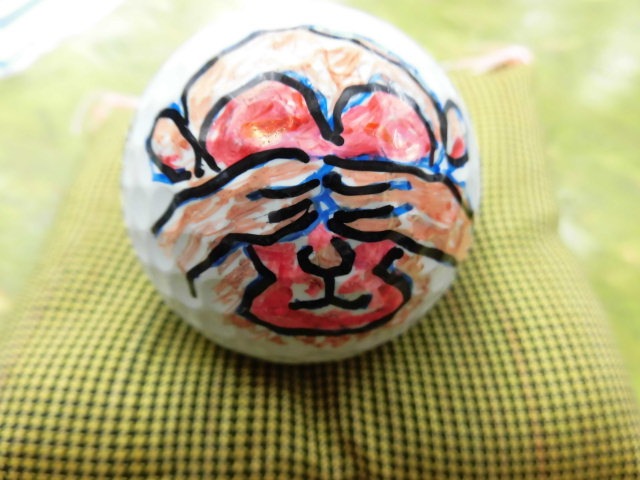 http://www.golfpartner.co.jp/207/CIMG1634.JPG