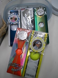 http://www.golfpartner.co.jp/211/DSCI0001booooru.JPG