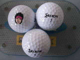 http://www.golfpartner.co.jp/211/DSCI0002ryoukunbool.JPG