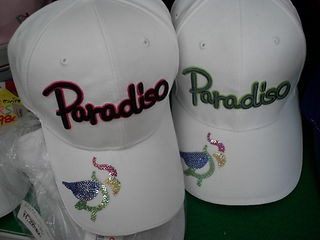 http://www.golfpartner.co.jp/211/DSCI0003bousi.JPG