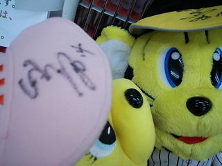 http://www.golfpartner.co.jp/211/DSCI0003sainn2.JPG