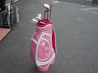 http://www.golfpartner.co.jp/211/bis2.JPG