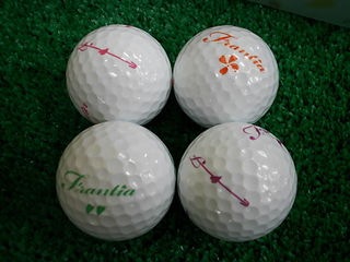 http://www.golfpartner.co.jp/211/frr2.JPG
