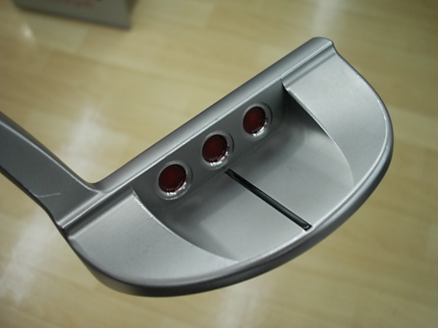 http://www.golfpartner.co.jp/271/1116TPDSCI0003.JPG