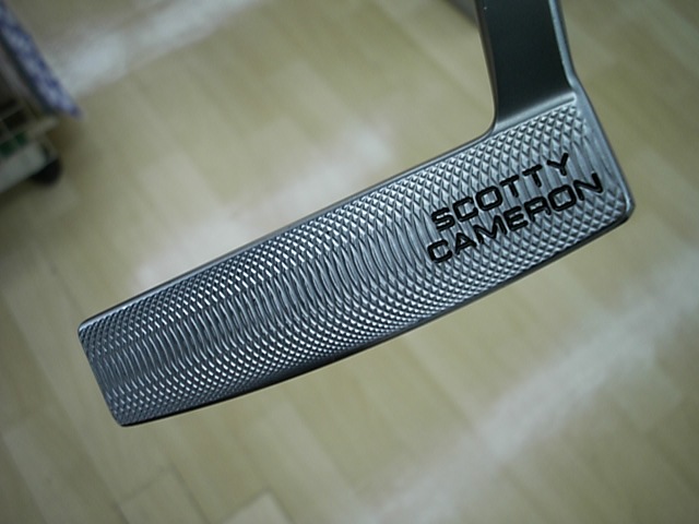 http://www.golfpartner.co.jp/271/1116TPDSCI0004.JPG