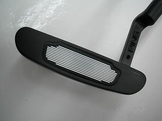 http://www.golfpartner.co.jp/271/113PDSCI0006.JPG