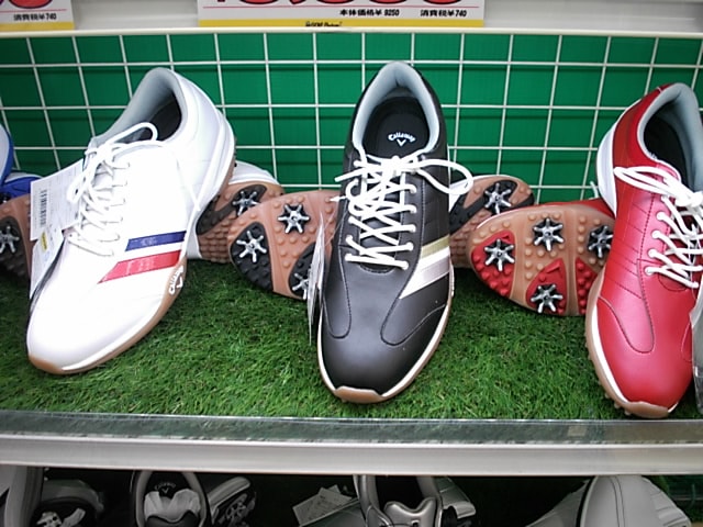 http://www.golfpartner.co.jp/271/123CSDSCI0001.JPG