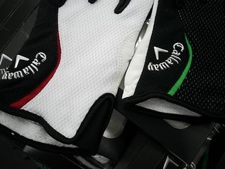 http://www.golfpartner.co.jp/271/2013cwgDSCI0002.JPG