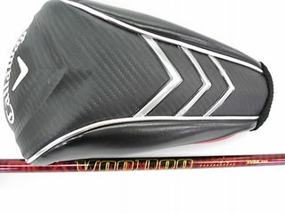 http://www.golfpartner.co.jp/271/613DSCI0002.JPG