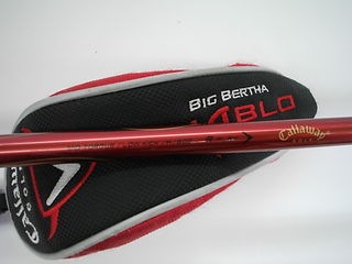 http://www.golfpartner.co.jp/271/78DSCI0017.JPG