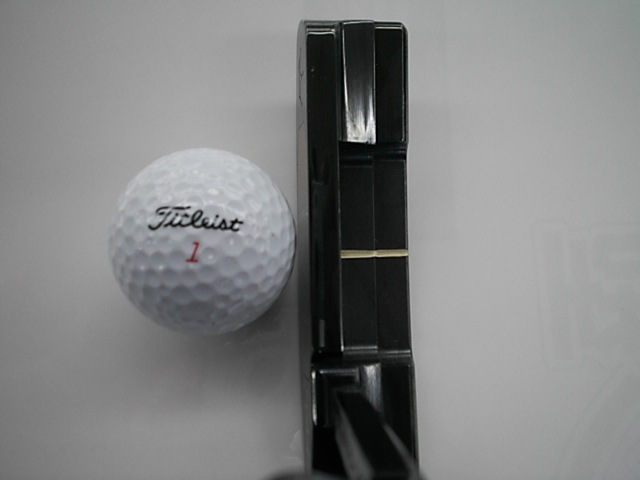 http://www.golfpartner.co.jp/271/D216112SCI0012%20%284%29.JPG