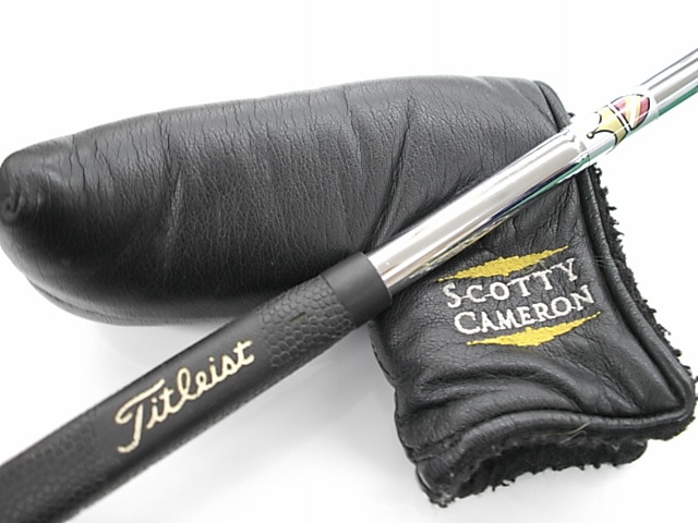 http://www.golfpartner.co.jp/271/D216112SCI0012.JPG