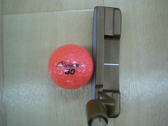 http://www.golfpartner.co.jp/271/D216316SCI0003%20%281%29.JPG