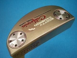 http://www.golfpartner.co.jp/271/DSCI0mj002.JPG