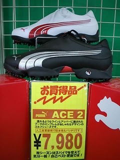 http://www.golfpartner.co.jp/271/PUACE2DSCI0007.JPG