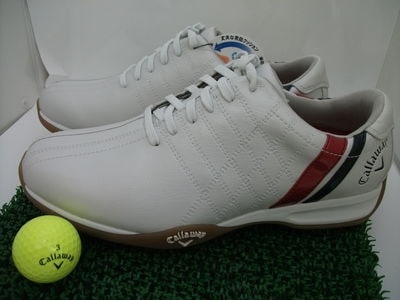 http://www.golfpartner.co.jp/380/DSCF2677.JPG