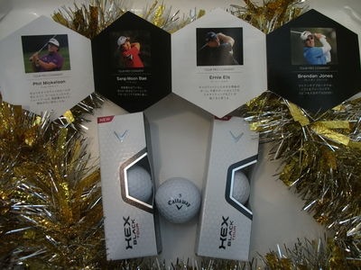 http://www.golfpartner.co.jp/380/DSCF7039.JPG