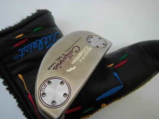http://www.golfpartner.co.jp/387/CIMG6376.JPG