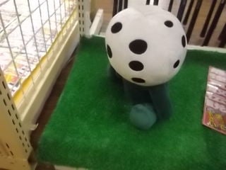 http://www.golfpartner.co.jp/387/IMGP1951.JPG