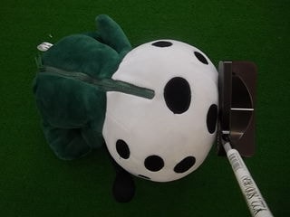 http://www.golfpartner.co.jp/387/IMGP2710.JPG
