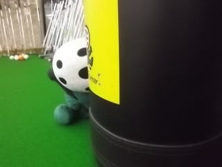 http://www.golfpartner.co.jp/387/IMGP3912.JPG