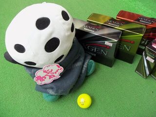 http://www.golfpartner.co.jp/390/100_0488.jpg