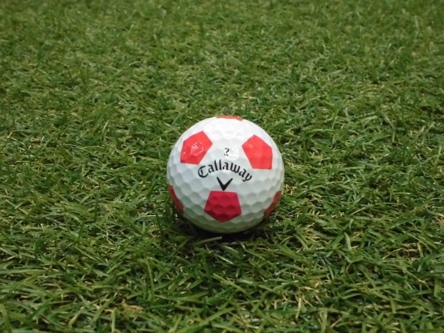 http://www.golfpartner.co.jp/400/20160429CIMG0422.JPG