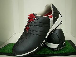 http://www.golfpartner.co.jp/413/DSCI01002.JPG